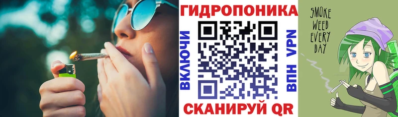 Бошки Шишки планчик  Котовск 